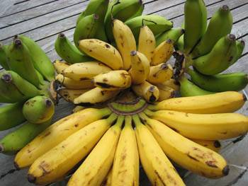 Calendrier de saisonnalité des fruits et légumes MARS