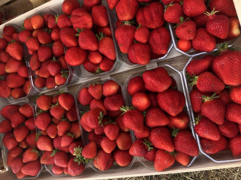 Calendrier de saisonnalité des fruits et légumes MARS