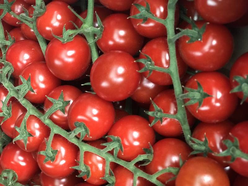 Calendrier de saisonnalité des fruits et légumes MARS