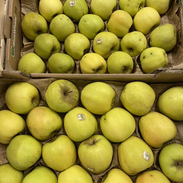 Grossiste fruits et légumes issus de l'agriculture biologique en Provence