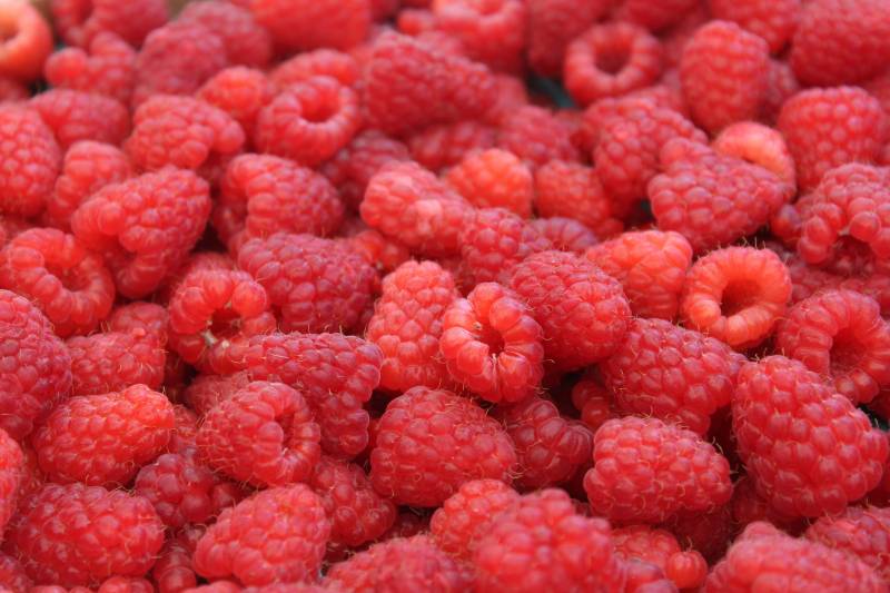 Calendrier de saisonnalité des fruits et légumes MARS