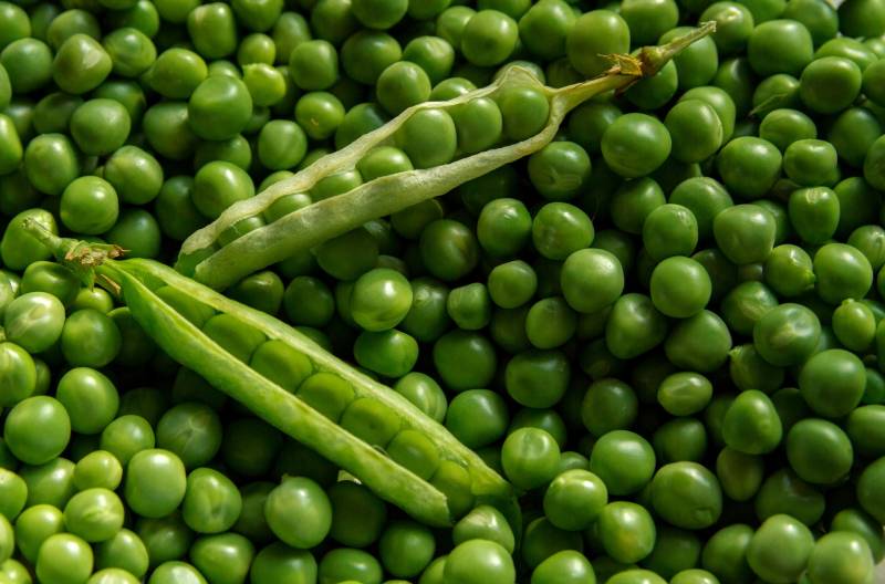 Petits pois verts très fins en boîte 5/1 pour les collégiens d'Aix-en-Provence dans le 13