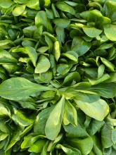 Nos prestations sur le secteur de Salon de Provence (13300)