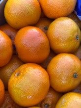 Nos prestations sur le secteur de Aix en Provence (13)