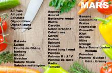 Nos prestations sur le secteur de Avignon dans le Vaucluse (84)